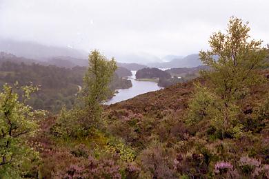 Glen Landscape